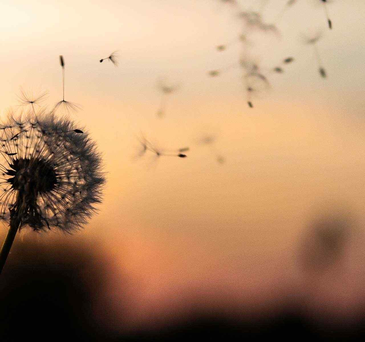 https://texasdebtlawyers.com/wp-content/uploads/2018/09/post_02-1280x1200.jpg