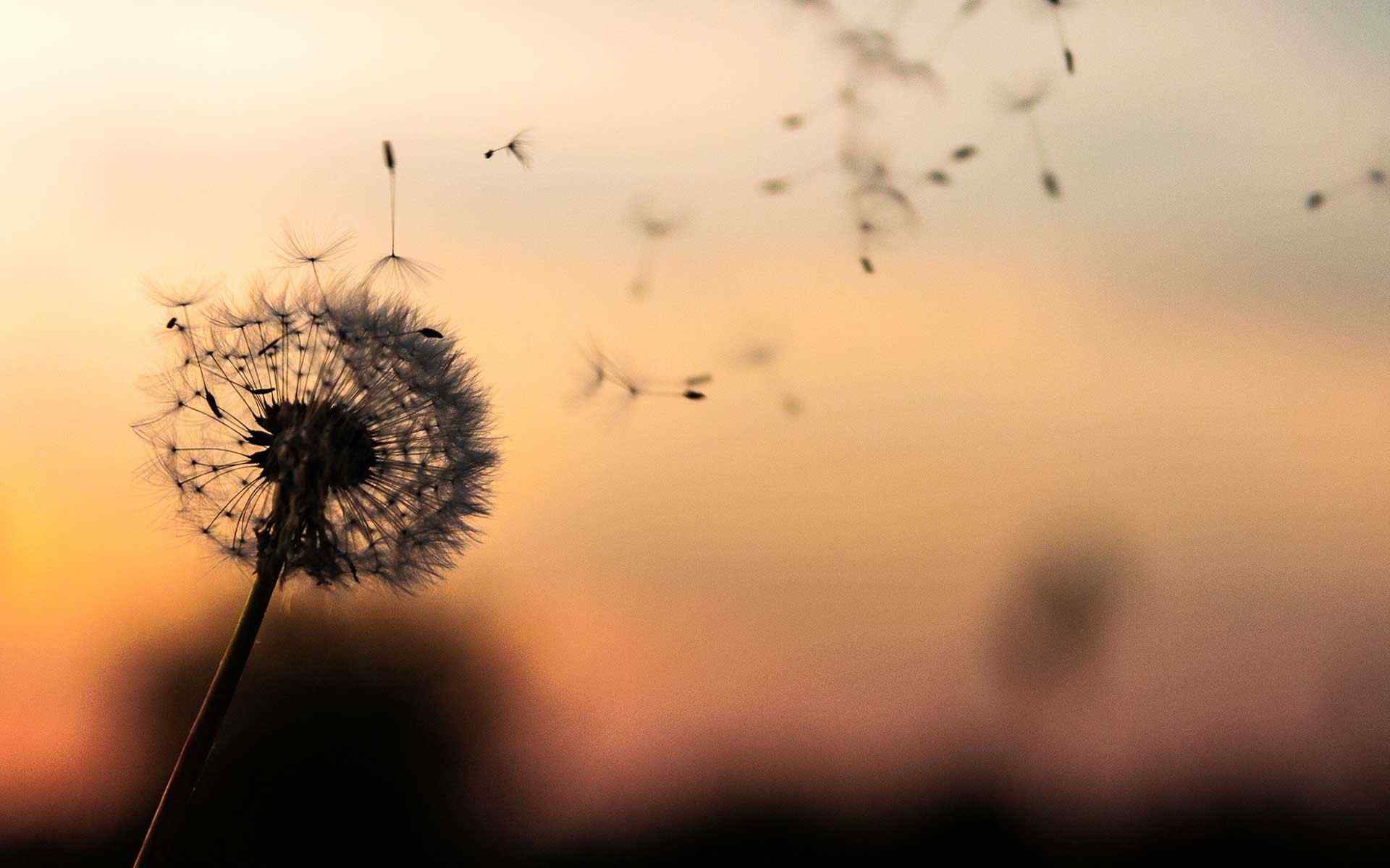 https://texasdebtlawyers.com/wp-content/uploads/2018/09/post_02.jpg